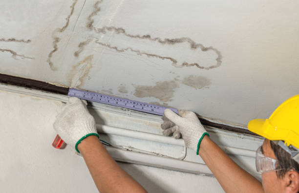 Reliable Mold Remediation contractor in Jamestown, TN by Water Damage Irwin
